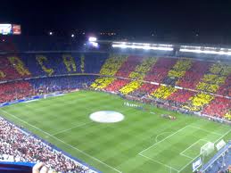 images (7)